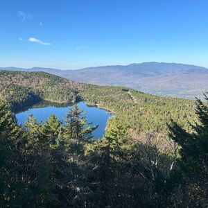 Meet your Posher, Meg!